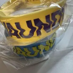 バウンディ ミュージシャン