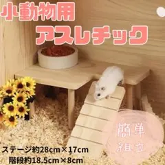 846 ハムスター 小動物用 木製アスレチック 遊び場 ステージ 階段のサムネイル