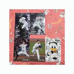 プロ野球チップス 千葉ロッテマリーンズ