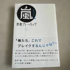 嵐、青春プレーバック : 『嵐、ブレイク前夜』外伝