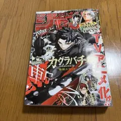 週刊少年ジャンプ 2026年 24号 シュリンク付き新品未開封カグラバチ
