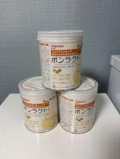 ボンラクト　大豆ミルク　11缶セット ボンラクト 大豆ミルク 11缶セット ボンラクト 大豆ミルク 11缶
