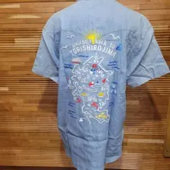 Item thumbnail for item 255f7922-6233-4673-a579-b1bdb8c88d1e