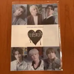 【匿名配送】SEVENTEEN セブチ クリアファイル 消費期限　ユニバ 特典