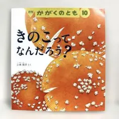小林路子 画集「きのこ」1993年 初版 山と溪谷社 小林路子 画集「きのこ」1993年 初版 山と溪谷社