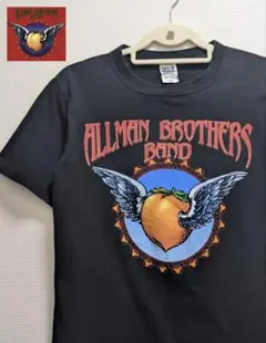 最終値下☆オールマン・ブラザーズ・バンド　アンビル