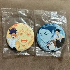 ハイキュー アニマル マスコット 缶バッジ ガチャ 日向翔陽 赤葦京治