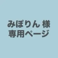 みぽりん 様専用