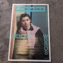 Esquire 雑誌 BEYOND WORDS　新聞折込チラシ