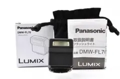 2026年最新】dmw-fl70の人気アイテム - メルカリ