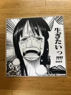 ワンピース　ニコ・ロビン ミニ色紙風イラストシート