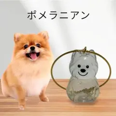 メモリアル キーホルダー ケース　犬の毛収納　ポメラニアン
