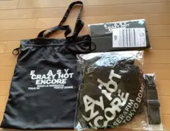 LE SSERAFIM TOKYO DOME プレミアムシート限定グッズ