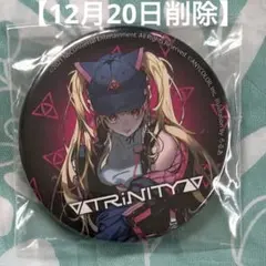 2025年最新】trinity にじさんじの人気アイテム - メルカリ