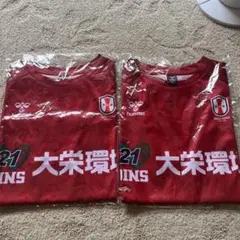 【未使用】INAC神戸　応援Ｔシャツ Mサイズ　2枚