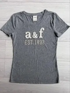 Abercrombie & Fitch kids　グレー　Tシャツ Ｌ