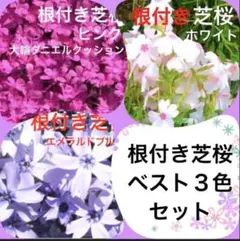Toshi様 リクエスト 2点 まとめ商品