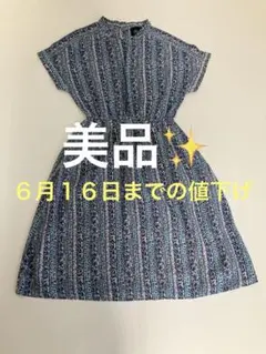 Meridian 半袖 ワンピース 総柄 ブルー系のサムネイル