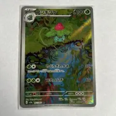 フシギソウ ホロカード HP100