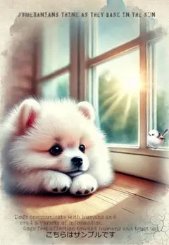 2525Apple様 リクエスト 2点 まとめ商品