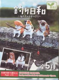 釣り日和