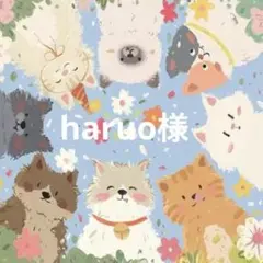 haruo様 リクエスト 2点 まとめ商品
