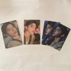 &TEAM MAKI マキ 雪明かり トレカ セット