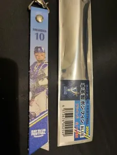 横浜DeNAベイスターズ ファンフェスティバル ボンフィン 戸柱恭孝