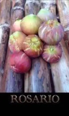 Chloe＊様 リクエスト 4点 まとめ商品