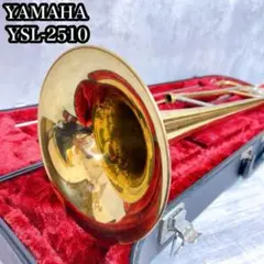 2025年最新】YSL-2510の人気アイテム - メルカリ