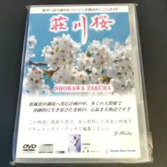 Item thumbnail for item d42801c2-0816-43d2-8f18-7d2541e5f82b