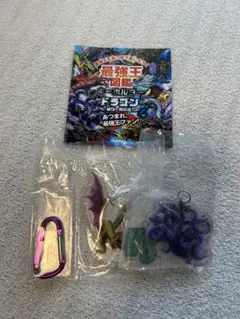 最強王図鑑キーホルダー　ヒュドラー&ヴイーヴル