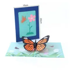 蝶 3D カード 手紙 メッセージカード 蝶々 卒園 お祝い 招待