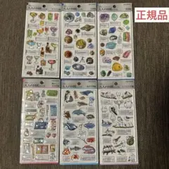 正規品　3D 大人図鑑シール　1弾　コンプリートセット　6枚