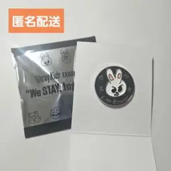 straykids スキズ 展覧会 ピンバッチ SKZOO リービット リノ