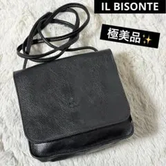 極美品✨IL BISONTE イルビゾンテ　レザー　ショルダーバッグ　ブラックのサムネイル