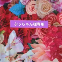 ぷぅちゃん様専用　　2点