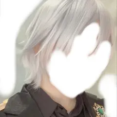 2026年最新】ツイステ シルバー ウィッグの人気アイテム - メルカリ