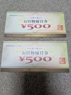 YAMADA HDGS. ヤマダ電機　お買物優待券 ¥500×2枚