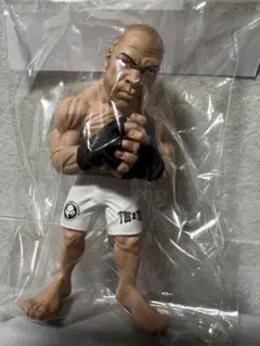 2026年最新】ヴァンダレイ・シウバの人気アイテム - メルカリ