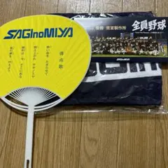 Item thumbnail for item 4d68f4fa-0ce5-4abe-a7bd-3992d4ddd64f