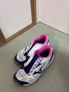 MIZUNO バレーボールシューズ