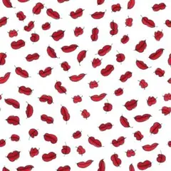 みちよ様 リクエスト 3点 まとめ商品