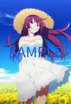 戦場ヶ原ひたぎ 等身大タペストリー 戦場ヶ原ひたぎ 等身大タペストリー 10月事後発売】【特典付き