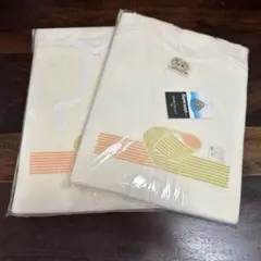 Item thumbnail for item 839543e4-e7f2-4d5e-be8b-0675760a329d