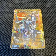 美品)ボルシャック・ドリーム・ドラゴン/ ドラゴン娘/ カード1枚