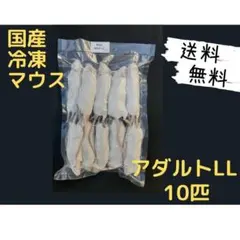 国産 冷凍マウス アダルトLL 10匹 (一部地域発送不可)