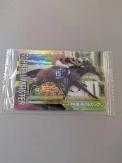 2025年最新】ジョッキー サインの人気アイテム - メルカリ