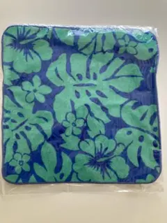 Item thumbnail for item ed8de451-d1e3-45d6-b907-7ebc3229d00b