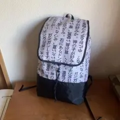 背面長45cm【デイパッコ 04】内容量18 L程度 X-pac EcoPak
